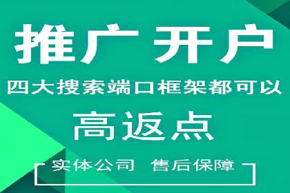 百度网络推广实战技巧：案例解析，让广告投放更精准